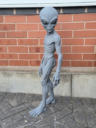 Lebensgroßer grauer alien - lebensgroßer, 3