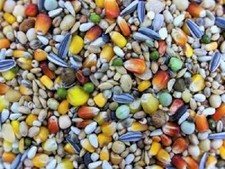 Matador Premium Reise 25kg