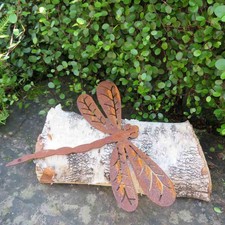 Libelle Edelrost Rost