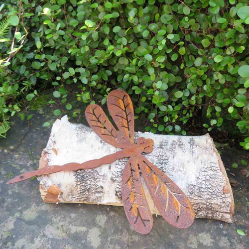 Libelle edelrost rost - libelle,