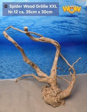 👋XXL Moorkien - Spiderwood