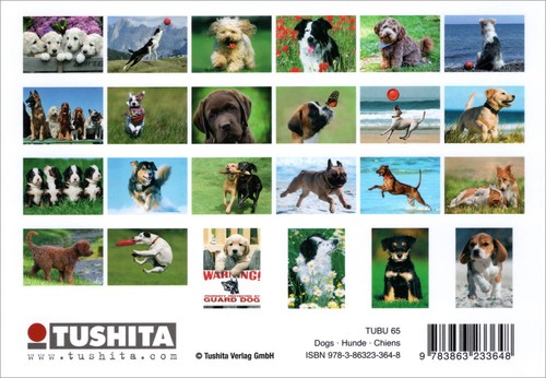 Postkartenbuch dogs hunde - postkartenbuch, *