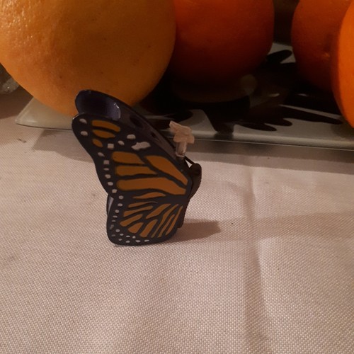 Schmetterling
