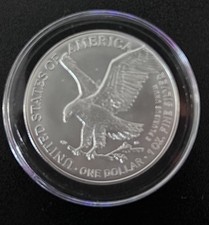 American Eagle 1 oz