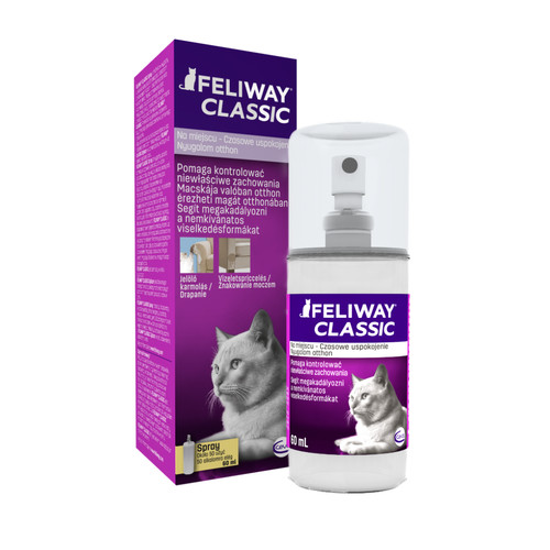 Feliway katzen pheromon spray - feliway, katzen-pheromon-spray