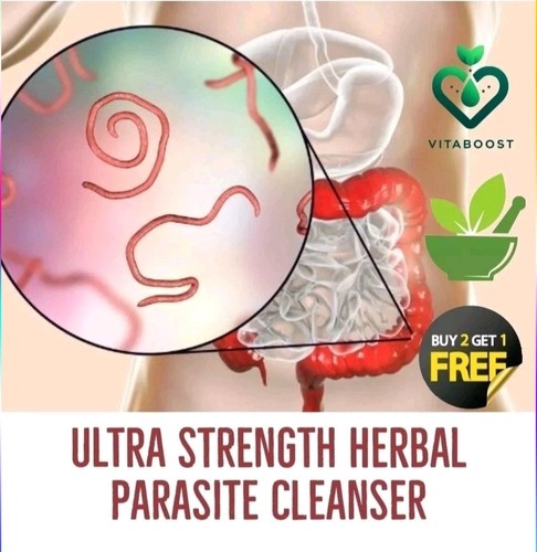 Parasitenreinigung detox - parasitenreinigung,