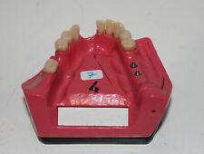 Go Dent Schaumodell Nr.  4