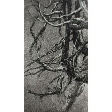 Hans Dietmann Baum Geäst