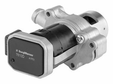 BorgWarner (Wahler) AGR Ventil