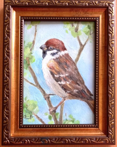 Vogel gemälde neu sperling - gemälde,