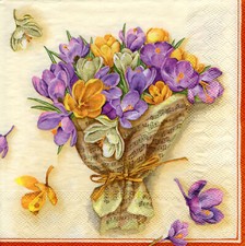3 Servietten ~ Frühling