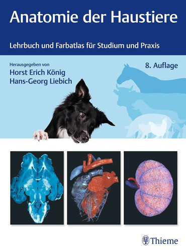 Anatomie der haustiere - anatomie,
