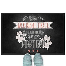 Ein Jack Russel Terrier ist