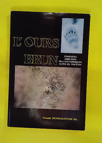 Braunbär pyrenäen - pyrenäen,