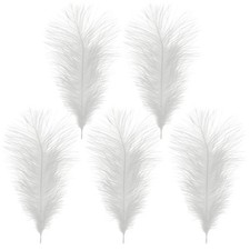 35-60cm große Straußenfedern