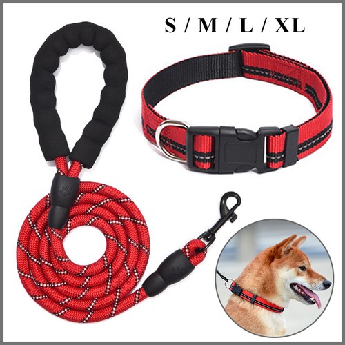 Hunde halsband leine - hunde,