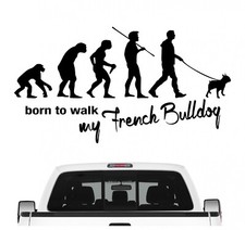 French Bulldog Frenchie Bully