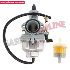 Vergaser & Benzinfilter für