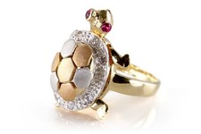 Ring Schildkröte beweglich 2