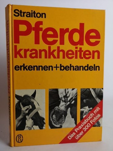 Pferdekrankheiten erkennen und