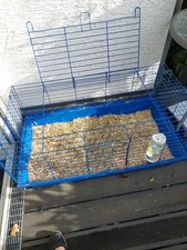 Schöner, festklemmbarer Meerschweinchen Stall