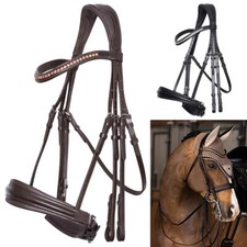 Imperial Riding Kandarenzaum