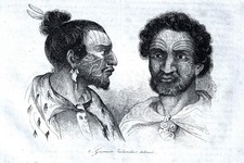 Neuseeland tätowierte krieger - neuseeland,