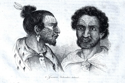 Neuseeland tätowierte krieger - neuseeland,