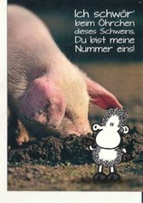 96003 / Sheepworld Postkarte SCHWEIN