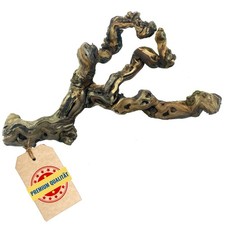 Weinrebe Wurzel Rebstock