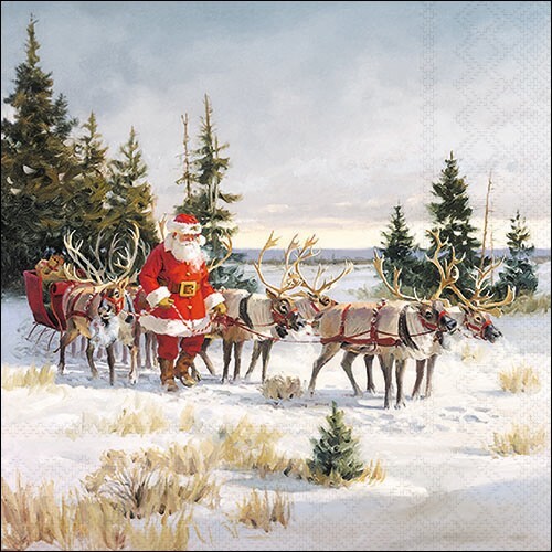 Servietten santa with his - 20,