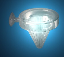 TOP Aquarium stabiler.🐠