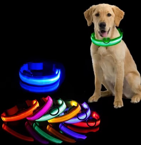 Led hundehalsband - led,