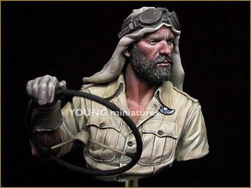 Young miniatures british sas - young,