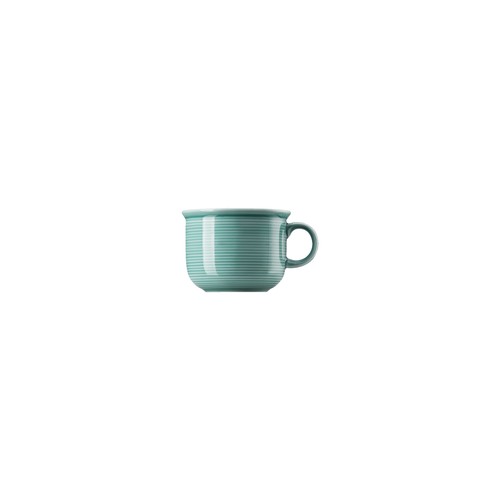 Kaffee obertasse thomas - kaffee-obertasse, ice