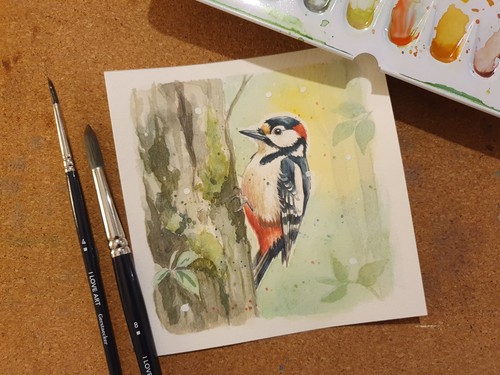 Aquarell buntspecht - aquarell,