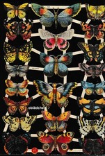 # GLANZBILDER # EF 7426 bunte