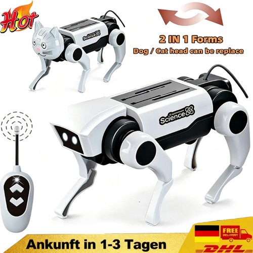 Roboter welpe hund - in,