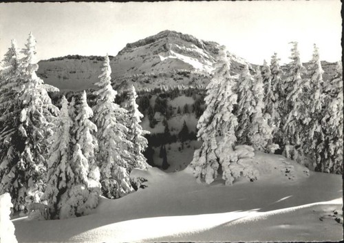 Speer walensee tanzboden - speer,