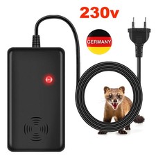 50m² Marderabwehr Dachboden