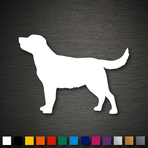 14221 labrador retriever - labrador,