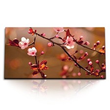 120x80cm Kunstdruck Bilder Baumblüten Kirschblüten Rot Rosa Zweige Frühling