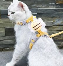 Hundegeschirr Katzengeschirr