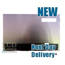 Asus Zenbook 14 UX3402 14 Zoll