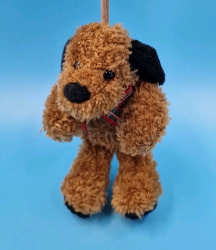 Sunkid hund mit schleife - hund,