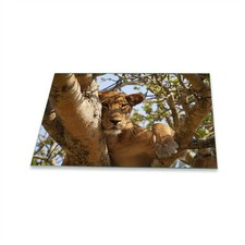 Herdabdeckplatte Ceran 1