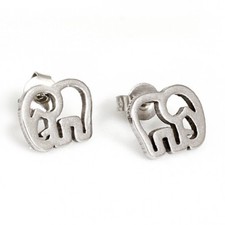 Titan Titanium Ohrstecker