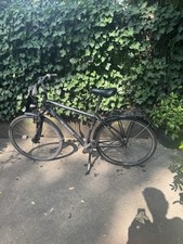 Triumph Trekking Bike, Fahrrad Herren, Narbenschaltung, 28 Zoll