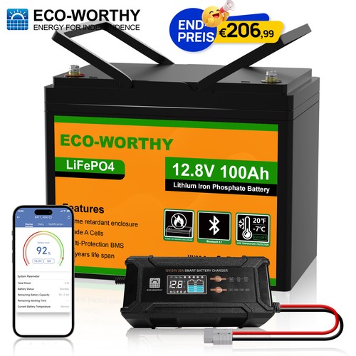 Eco worthy 100ah - 12.8v, lifepo4