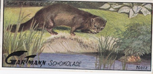 Gartmann schokolade serie - schokolade,
